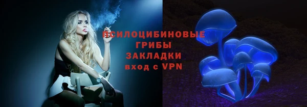прущие крисы Вяземский