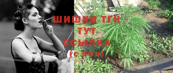 прущий лед Горняк