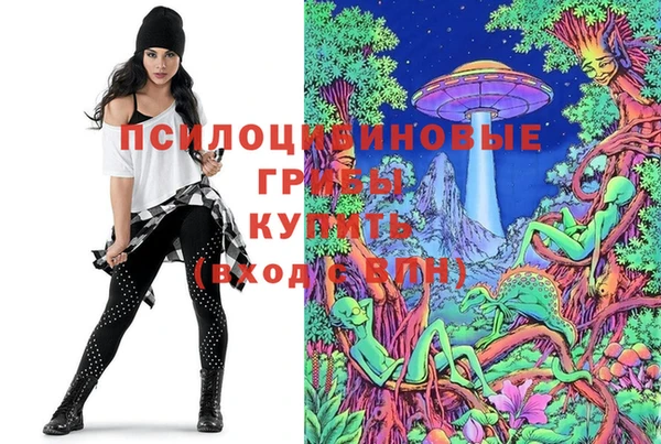 прущие крисы Вяземский