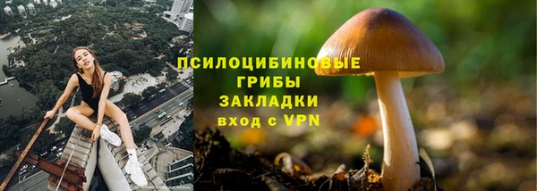 амф Козловка