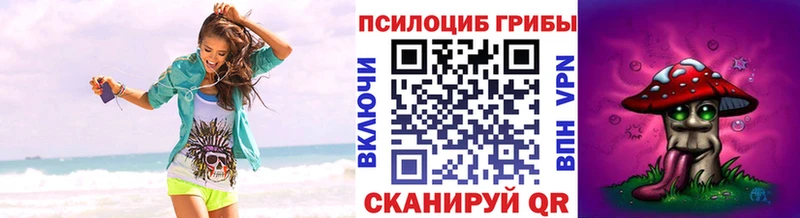 дарнет шоп  Пикалёво  Галлюциногенные грибы прущие грибы 